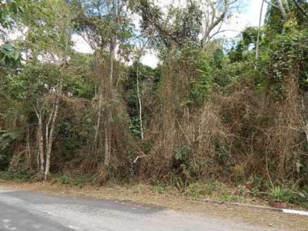 Foto 9 de 10: Area Rural em leilão em Mogi Das Cruzes - SP — Área com 1.701 m² - Fazenda Capelinha - Mogi das Cruzes - SP