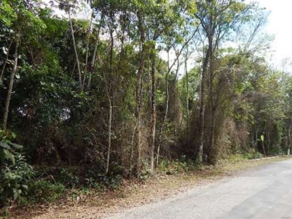 Foto 7 de 10: Area Rural em leilão em Mogi Das Cruzes - SP — Área com 1.701 m² - Fazenda Capelinha - Mogi das Cruzes - SP