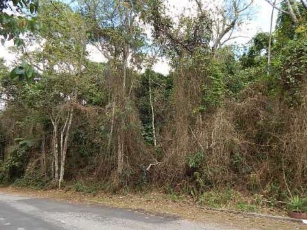Foto 10 de 10: Area Rural em leilão em Mogi Das Cruzes - SP — Área com 1.701 m² - Fazenda Capelinha - Mogi das Cruzes - SP