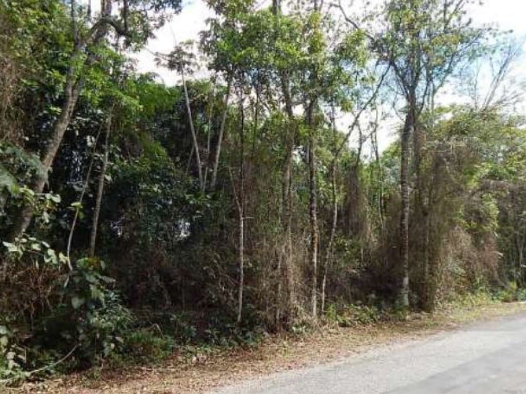 Foto 2 de 10: Area Rural em leilão em Mogi Das Cruzes - SP — Área com 1.701 m² - Fazenda Capelinha - Mogi das Cruzes - SP