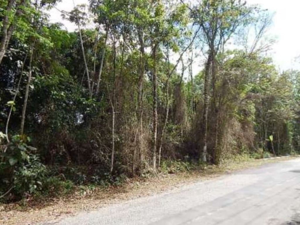Foto 6 de 10: Area Rural em leilão em Mogi Das Cruzes - SP — Área com 1.701 m² - Fazenda Capelinha - Mogi das Cruzes - SP
