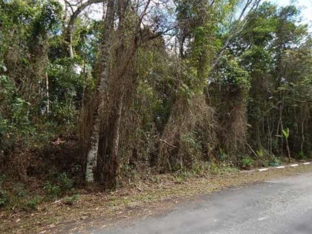 Foto 8 de 10: Area Rural em leilão em Mogi Das Cruzes - SP — Área com 1.701 m² - Fazenda Capelinha - Mogi das Cruzes - SP