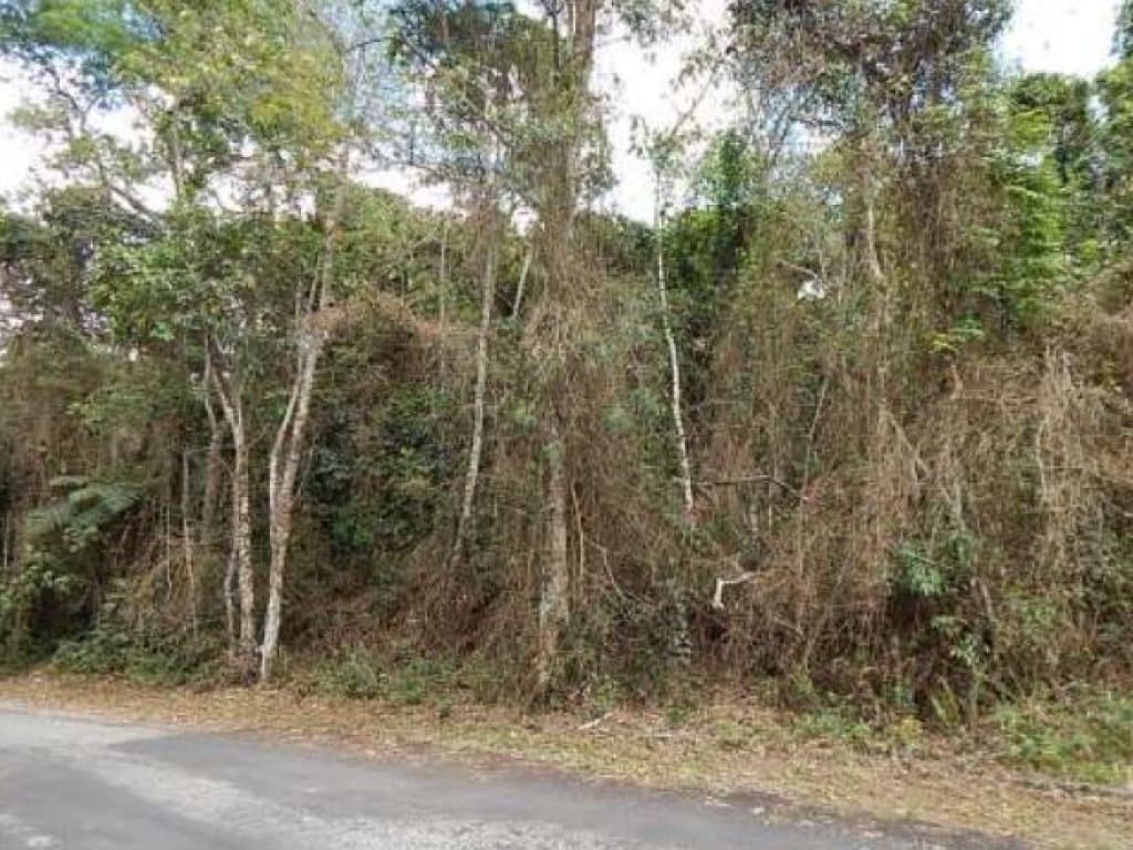Foto 3 de 10: Area Rural em leilão em Mogi Das Cruzes - SP — Área com 1.701 m² - Fazenda Capelinha - Mogi das Cruzes - SP
