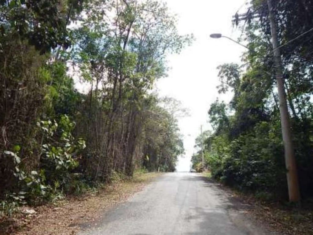 Foto 5 de 10: Area Rural em leilão em Mogi Das Cruzes - SP — Área com 1.701 m² - Fazenda Capelinha - Mogi das Cruzes - SP