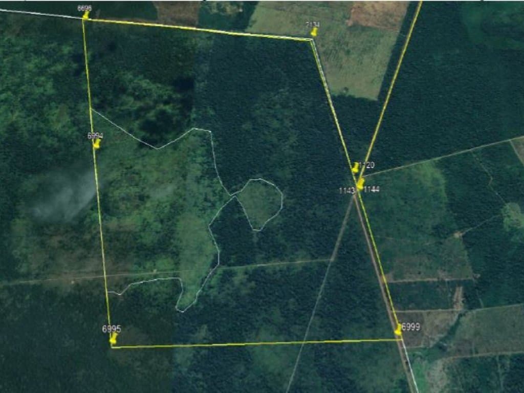 Foto 2 de 2: Area Rural em leilão em Santa Terezinha - MT — Imóvel Rural 1.062 ha (Fazenda Itália) - Santa Terezinha - MT