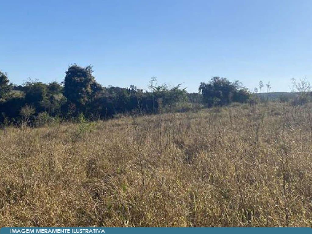 Foto 8 de 17: Area Rural em leilão em São Paulo - SP — Parte Ideal 50% de Imóvel Rural (área de 10,5 alqueires) - Sítio Yanaguiwara - Água da Onça - Duartina - SP