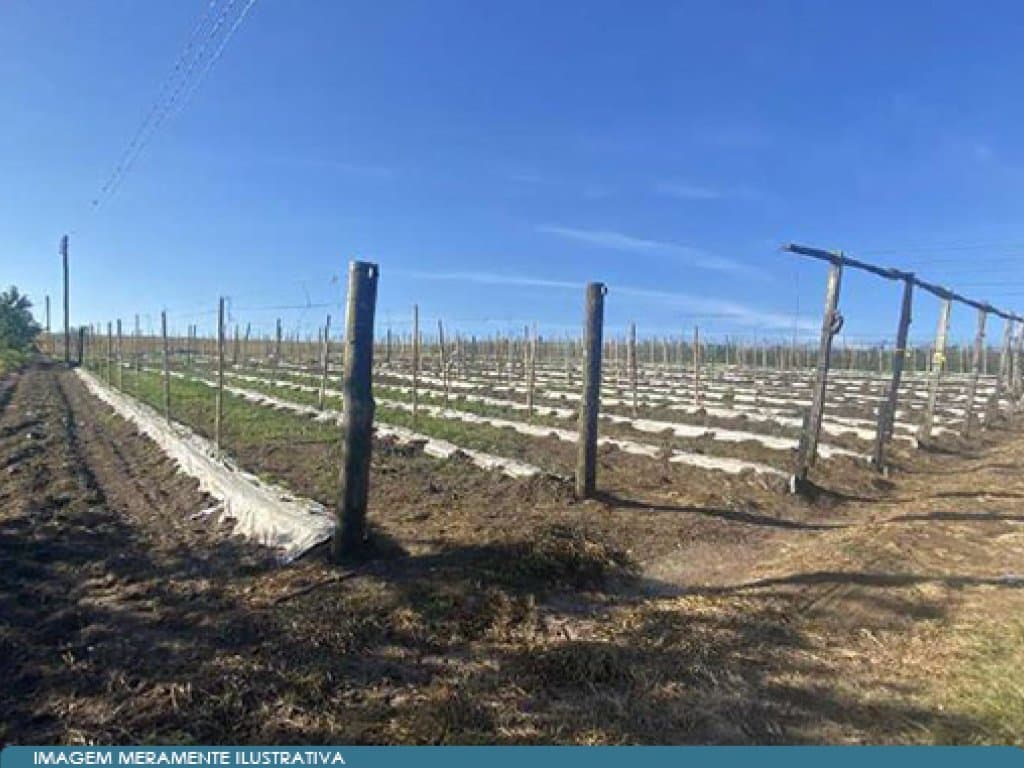 Foto 11 de 17: Area Rural em leilão em São Paulo - SP — Parte Ideal 50% de Imóvel Rural (área de 10,5 alqueires) - Sítio Yanaguiwara - Água da Onça - Duartina - SP