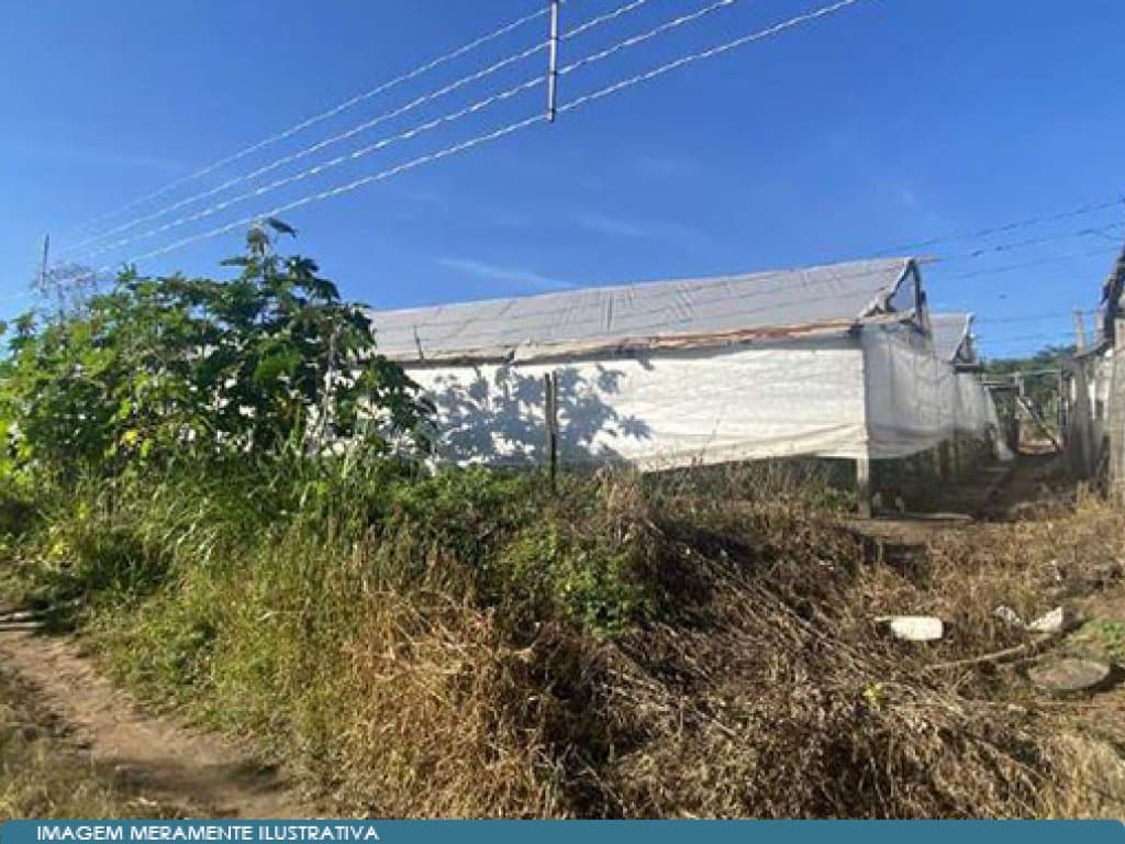 Foto 10 de 17: Area Rural em leilão em São Paulo - SP — Parte Ideal 50% de Imóvel Rural (área de 10,5 alqueires) - Sítio Yanaguiwara - Água da Onça - Duartina - SP
