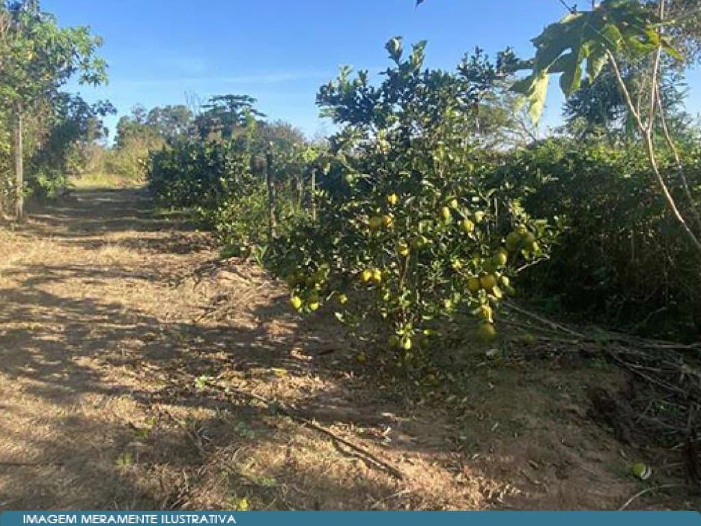 Foto 14 de 17: Area Rural em leilão em São Paulo - SP — Parte Ideal 50% de Imóvel Rural (área de 10,5 alqueires) - Sítio Yanaguiwara - Água da Onça - Duartina - SP