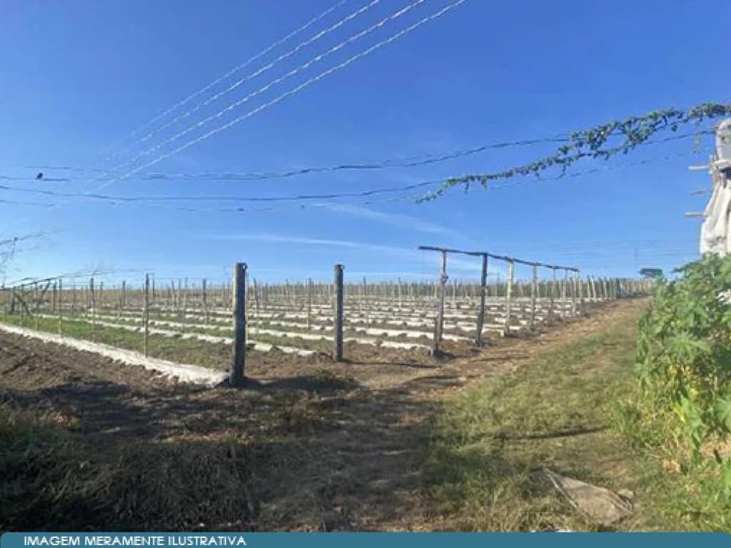 Foto 13 de 17: Area Rural em leilão em São Paulo - SP — Parte Ideal 50% de Imóvel Rural (área de 10,5 alqueires) - Sítio Yanaguiwara - Água da Onça - Duartina - SP
