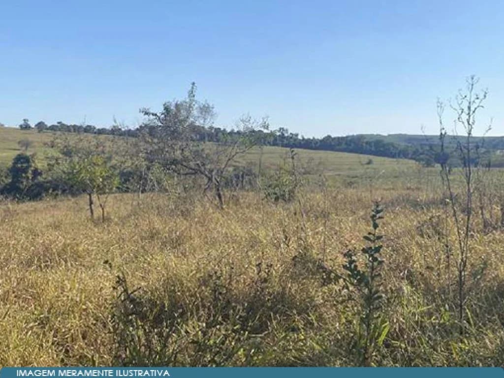Foto 7 de 17: Area Rural em leilão em São Paulo - SP — Parte Ideal 50% de Imóvel Rural (área de 10,5 alqueires) - Sítio Yanaguiwara - Água da Onça - Duartina - SP