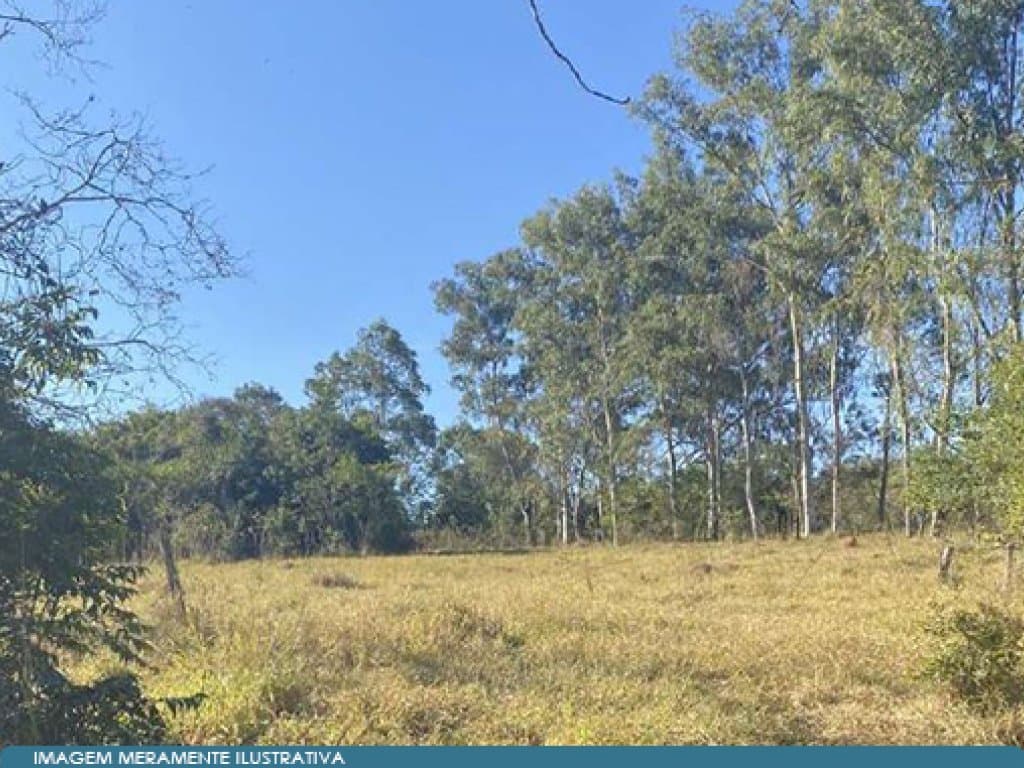 Foto 6 de 17: Area Rural em leilão em São Paulo - SP — Parte Ideal 50% de Imóvel Rural (área de 10,5 alqueires) - Sítio Yanaguiwara - Água da Onça - Duartina - SP
