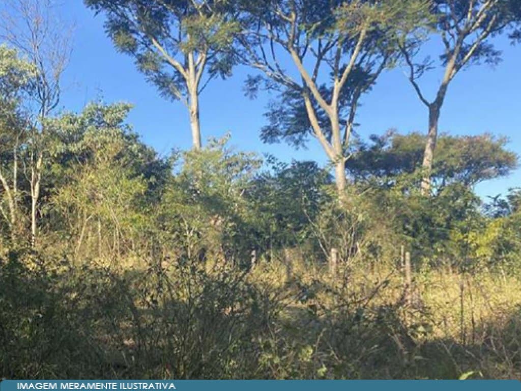 Foto 5 de 17: Area Rural em leilão em São Paulo - SP — Parte Ideal 50% de Imóvel Rural (área de 10,5 alqueires) - Sítio Yanaguiwara - Água da Onça - Duartina - SP