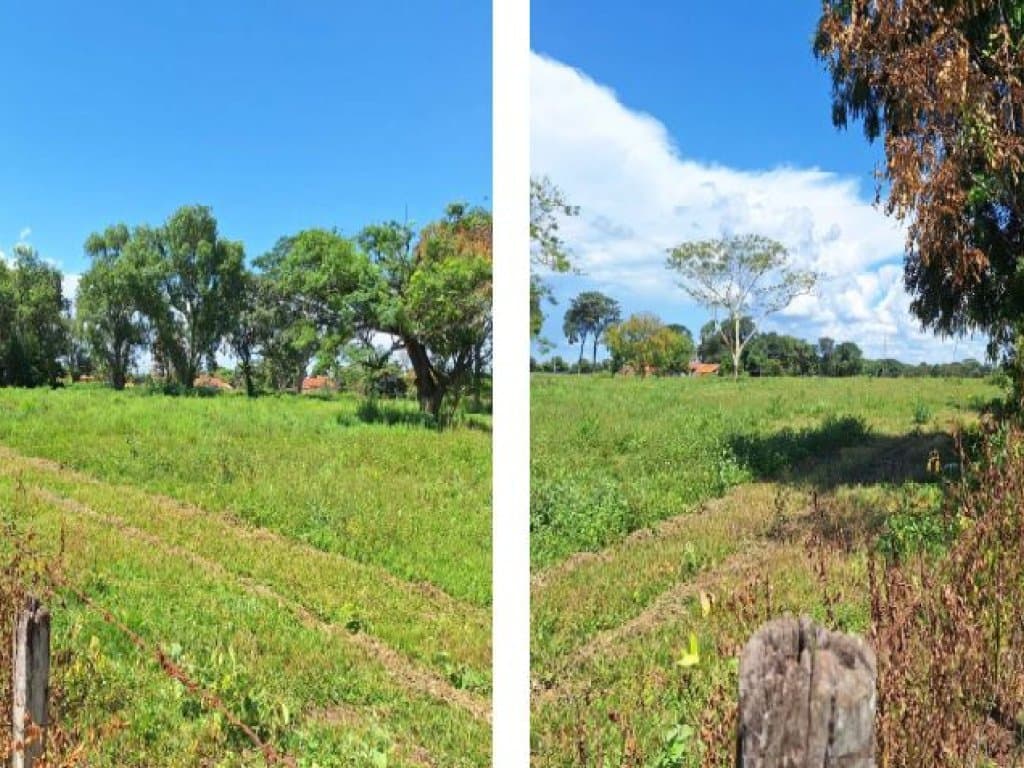 Foto 2 de 4: Casa em leilão em Cardoso - SP — Área de 9 ha - Chácara Santos Reis - Cardoso - SP