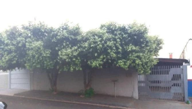 Foto 27 de 28: Casa em leilão em Taquaritinga - SP — Casa, Padrão, 0 Vaga(S) de Garagem