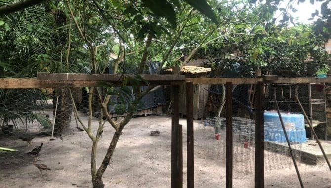 Foto 6 de 19: Casa em leilão em Maracaçumé - MA — Casa, Padrão, 1 Vaga(S) de Garagem