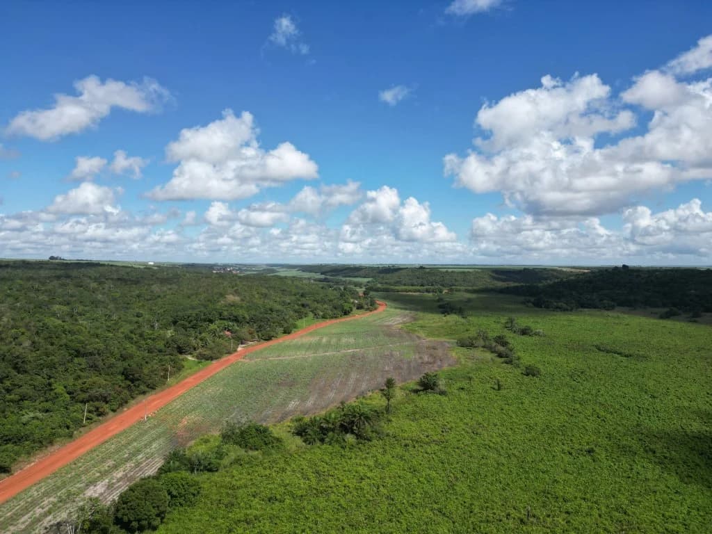 Foto 3 de 12: Area Rural em leilão em Capim - PB — Gleba de Terras com 1.795 ha - Capim - PB