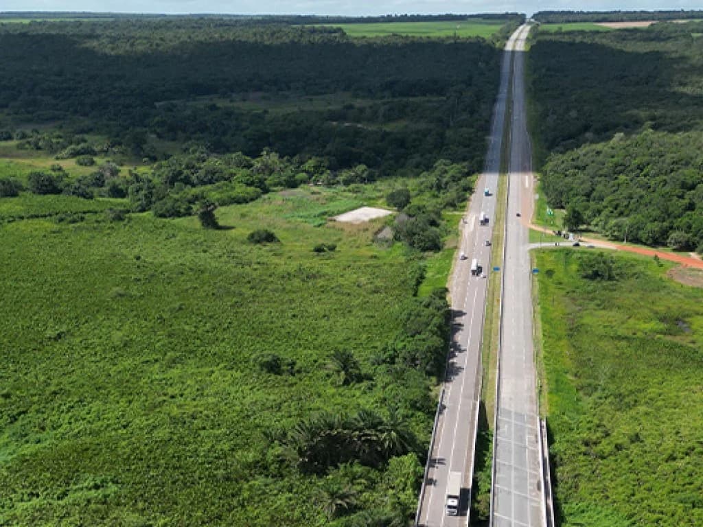 Foto 6 de 12: Area Rural em leilão em Capim - PB — Gleba de Terras com 1.795 ha - Capim - PB