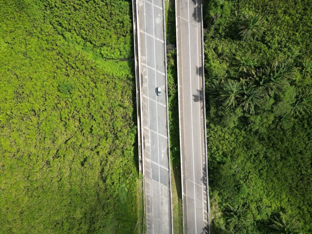 Foto 10 de 12: Area Rural em leilão em Capim - PB — Gleba de Terras com 1.795 ha - Capim - PB