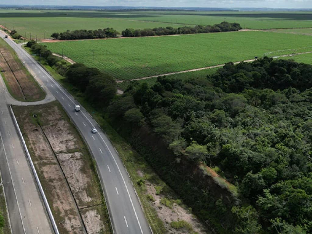 Foto 2 de 12: Area Rural em leilão em Capim - PB — Gleba de Terras com 1.795 ha - Capim - PB