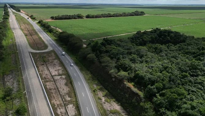 Foto 1 de 12: Area Rural em leilão em Capim - PB — Gleba de Terras com 1.795 ha - Capim - PB