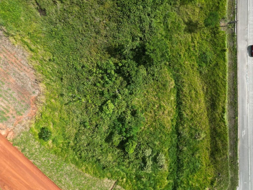 Foto 7 de 12: Area Rural em leilão em Capim - PB — Gleba de Terras com 1.795 ha - Capim - PB
