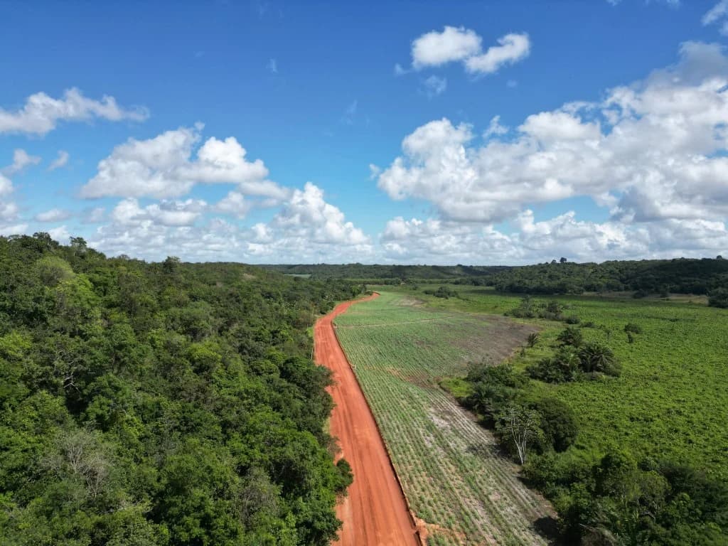 Foto 4 de 12: Area Rural em leilão em Capim - PB — Gleba de Terras com 1.795 ha - Capim - PB