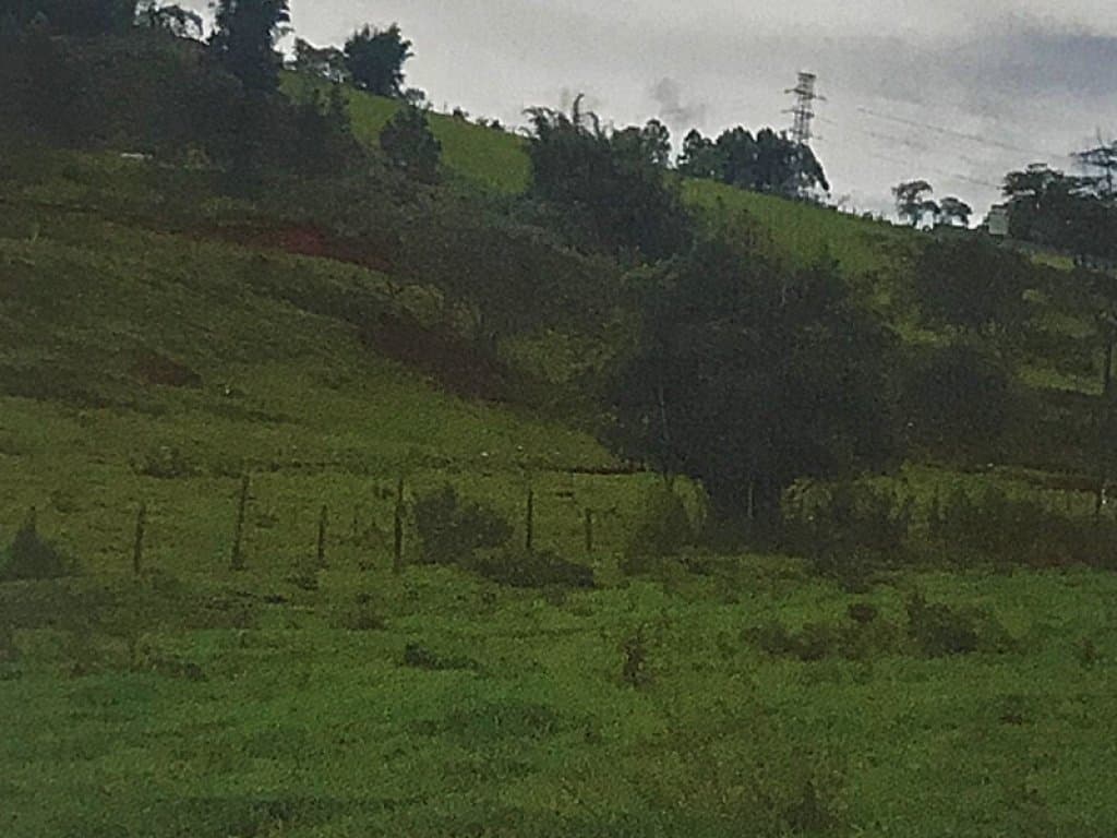 Foto 4 de 7: Area Rural em leilão em Itaquaquecetuba - SP — Imóvel Rural 23 ha - Fazenda Passarelli - Itaquaquecetuba - SP