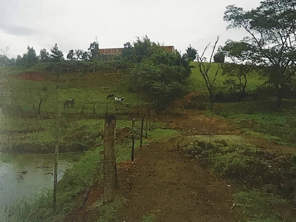Foto 5 de 7: Area Rural em leilão em Itaquaquecetuba - SP — Imóvel Rural 23 ha - Fazenda Passarelli - Itaquaquecetuba - SP