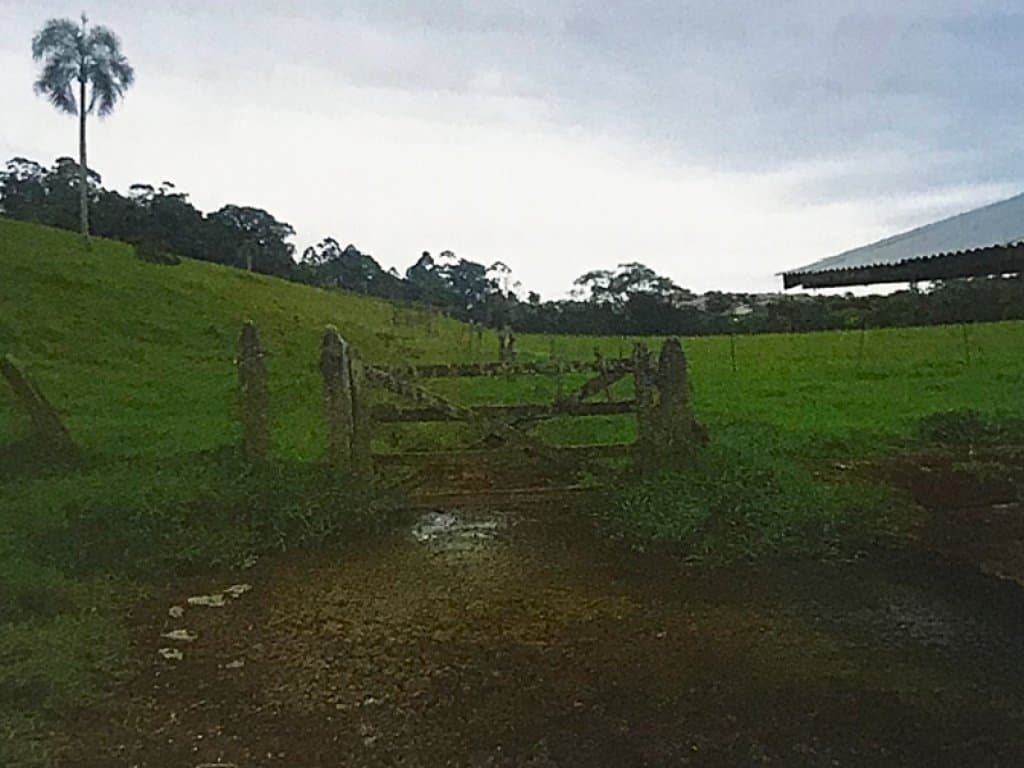 Foto 6 de 7: Area Rural em leilão em Itaquaquecetuba - SP — Imóvel Rural 23 ha - Fazenda Passarelli - Itaquaquecetuba - SP