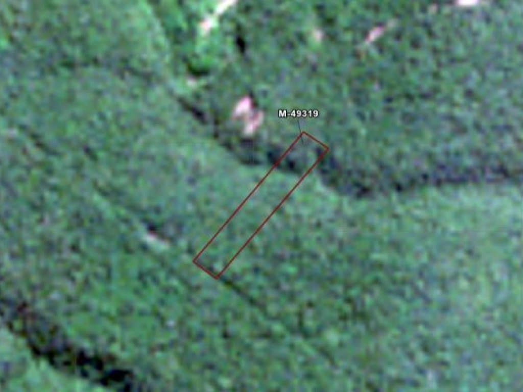 Foto 2 de 7: Terreno em leilão em Porto Seguro - BA — Área de 25.000 m² (Córrego do Taípe) - Arraial d'Ajuda - Porto Seguro - BA