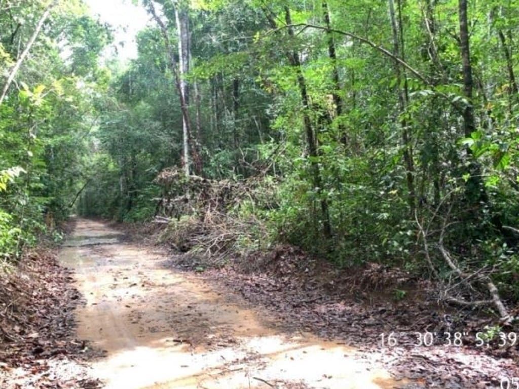 Foto 6 de 7: Terreno em leilão em Porto Seguro - BA — Área de 25.000 m² (Córrego do Taípe) - Arraial d'Ajuda - Porto Seguro - BA