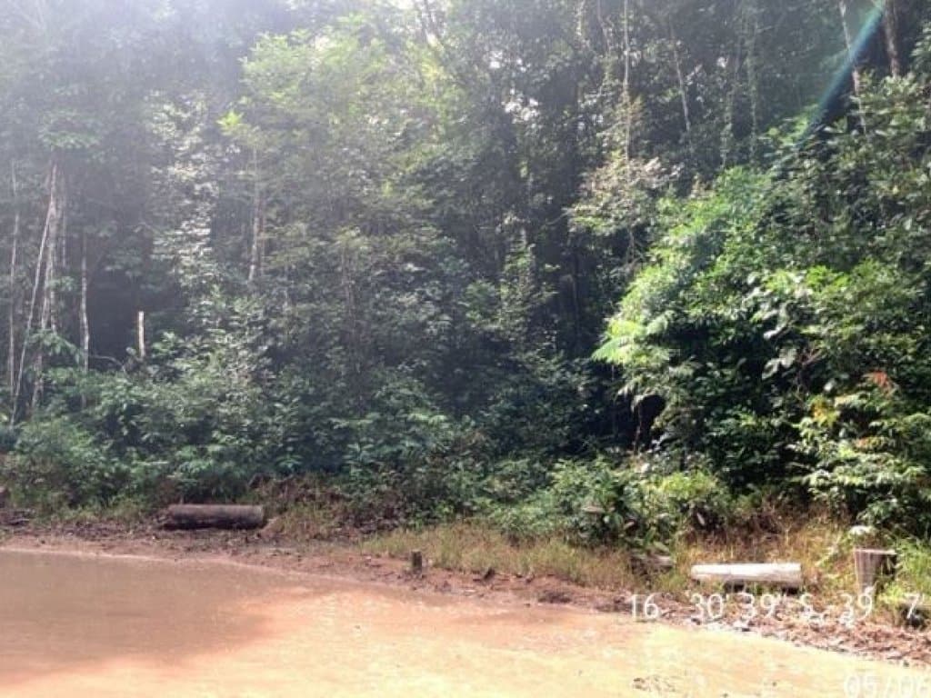Foto 5 de 7: Terreno em leilão em Porto Seguro - BA — Área de 25.000 m² (Córrego do Taípe) - Arraial d'Ajuda - Porto Seguro - BA