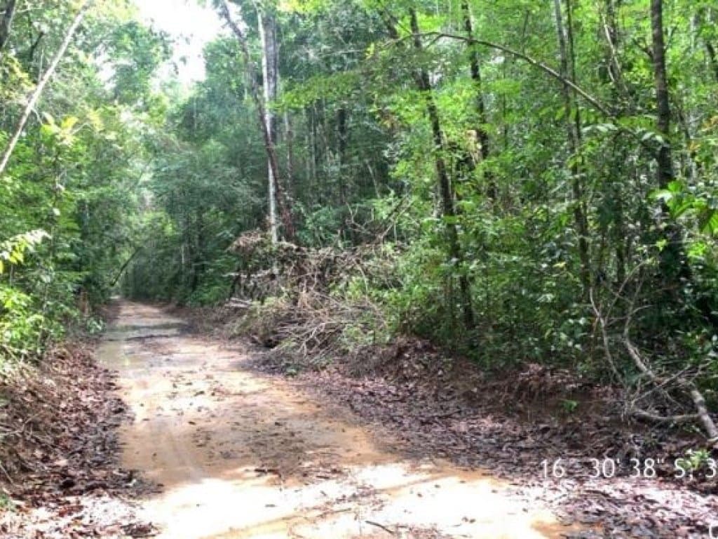 Foto 4 de 7: Terreno em leilão em Porto Seguro - BA — Área de 25.000 m² (Córrego do Taípe) - Arraial d'Ajuda - Porto Seguro - BA