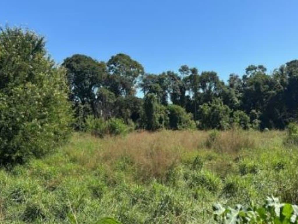 Foto 2 de 2: Terreno em leilão em Aparecida De Goiânia - GO — Terreno 3.500 m² - Aparecida de Goiânia-GO - Rua 1-A - Chácara 02 da Qd 47 - Solar das Candeias