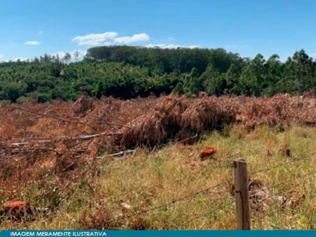 Foto 10 de 13: Terreno em leilão em Campinas - SP — Direitos sobre Áreas para Incorporação Imobiliária 517.663 m² - Distrito de Sousas - Campinas - SP