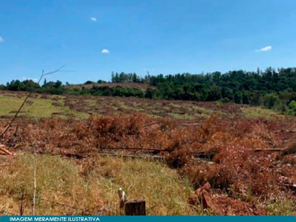 Foto 9 de 13: Terreno em leilão em Campinas - SP — Direitos sobre Áreas para Incorporação Imobiliária 517.663 m² - Distrito de Sousas - Campinas - SP