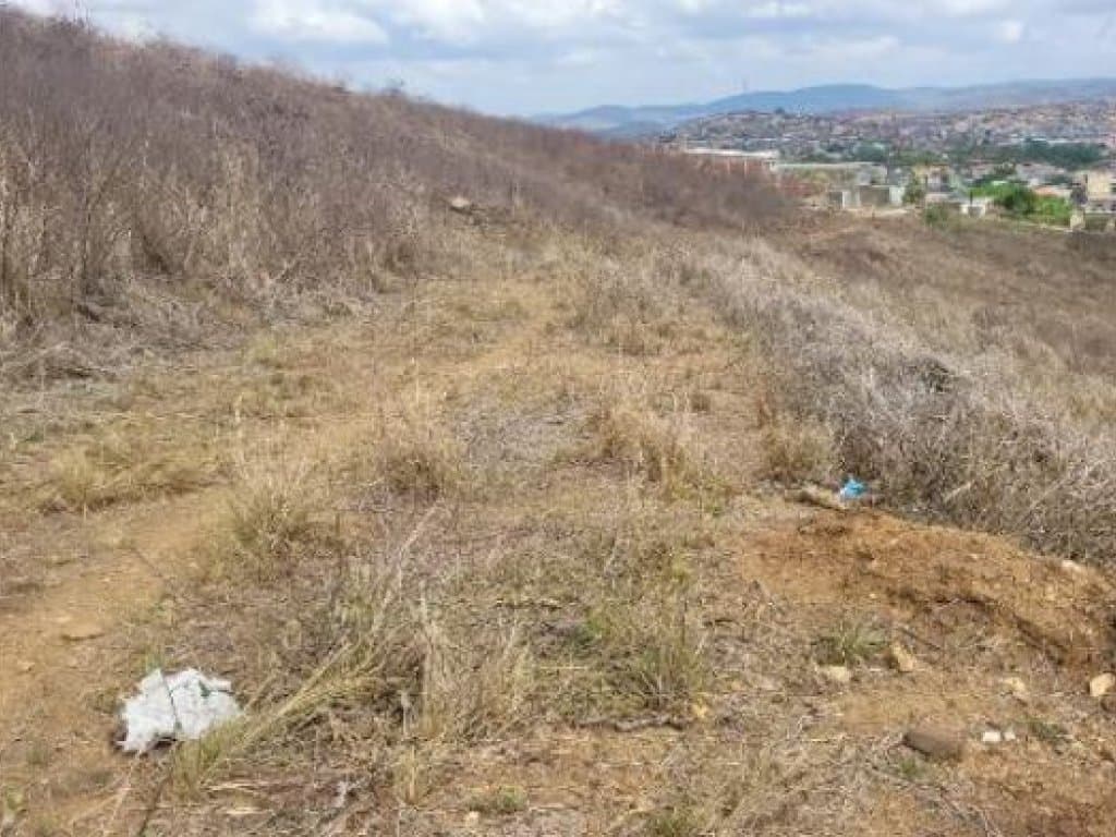 Foto 4 de 6: Terreno em leilão em Timbaúba - PE — Terreno 749 m² - Loteamento Araruna II - Timbaúba - PE