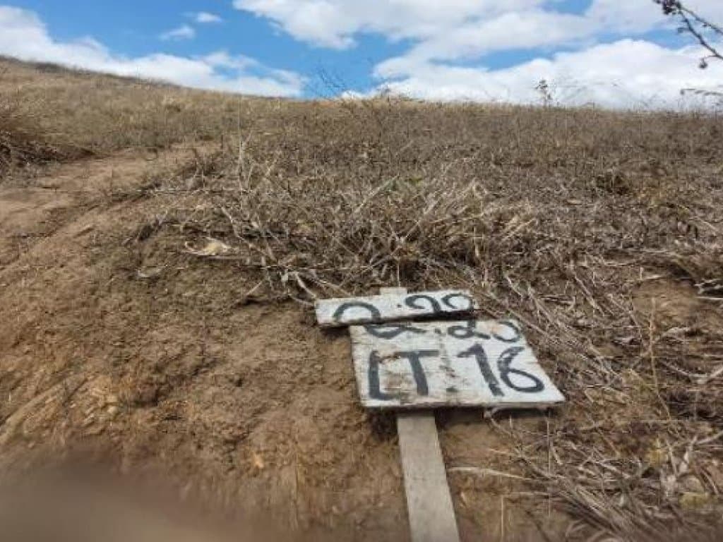Foto 3 de 6: Terreno em leilão em Timbaúba - PE — Terreno 749 m² - Loteamento Araruna II - Timbaúba - PE