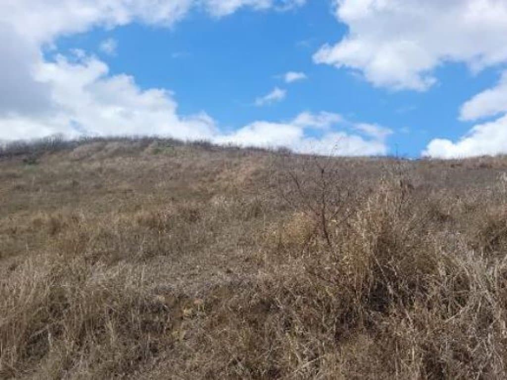 Foto 6 de 6: Terreno em leilão em Timbaúba - PE — Terreno 749 m² - Loteamento Araruna II - Timbaúba - PE