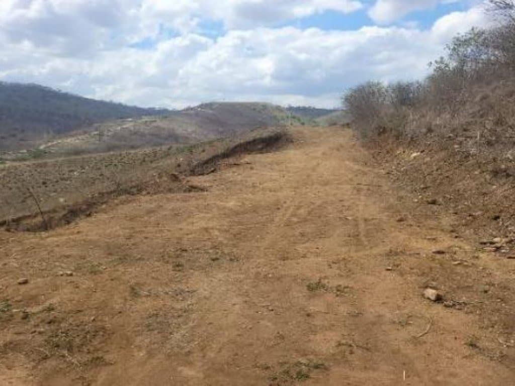 Foto 5 de 6: Terreno em leilão em Timbaúba - PE — Terreno 749 m² - Loteamento Araruna II - Timbaúba - PE