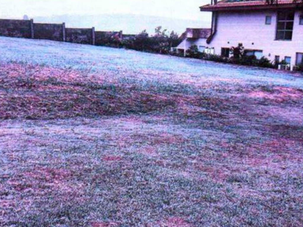 Foto 2 de 2: Area Rural em leilão em Itatiba - SP — Direitos sobre Área com 1.312 m² (Fazenda Dona Carolina) - Itatiba - SP