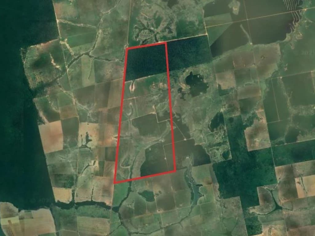 Foto 2 de 2: Area Rural em leilão em São José Do Xingu - MT — Área de 1.209 ha (Fazenda São José) - São José do Xingu - MT