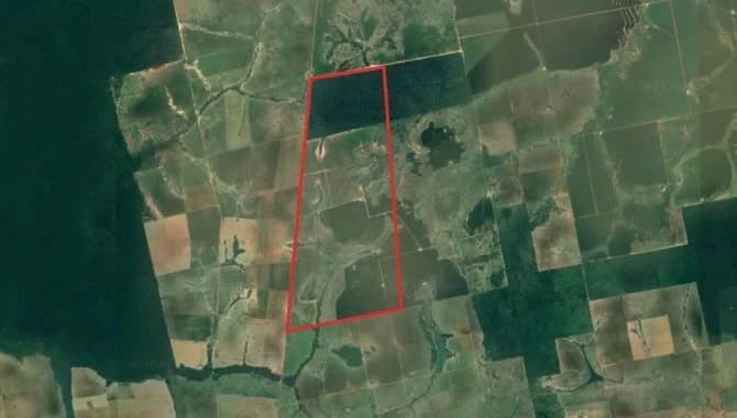 Foto 1 de 2: Area Rural em leilão em São José Do Xingu - MT — Área de 1.209 ha (Fazenda São José) - São José do Xingu - MT