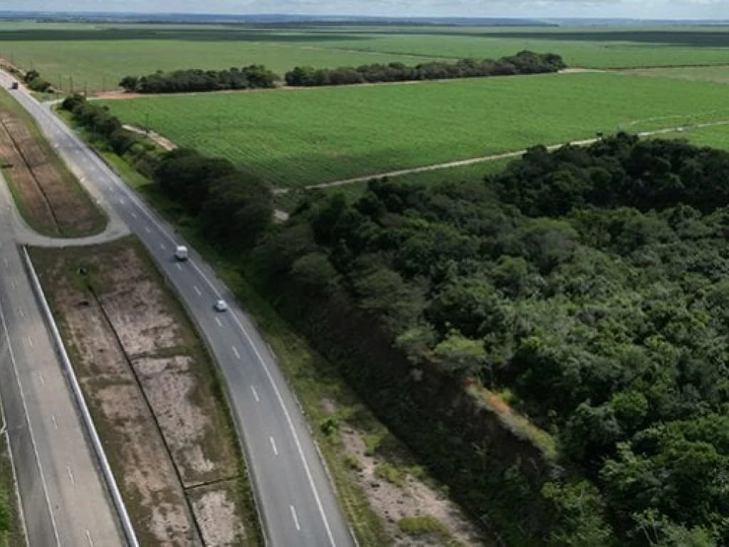 Foto 12 de 12: Area Rural em leilão em Capim - PB — Gleba de Terras com 1.795 ha - Capim - PB