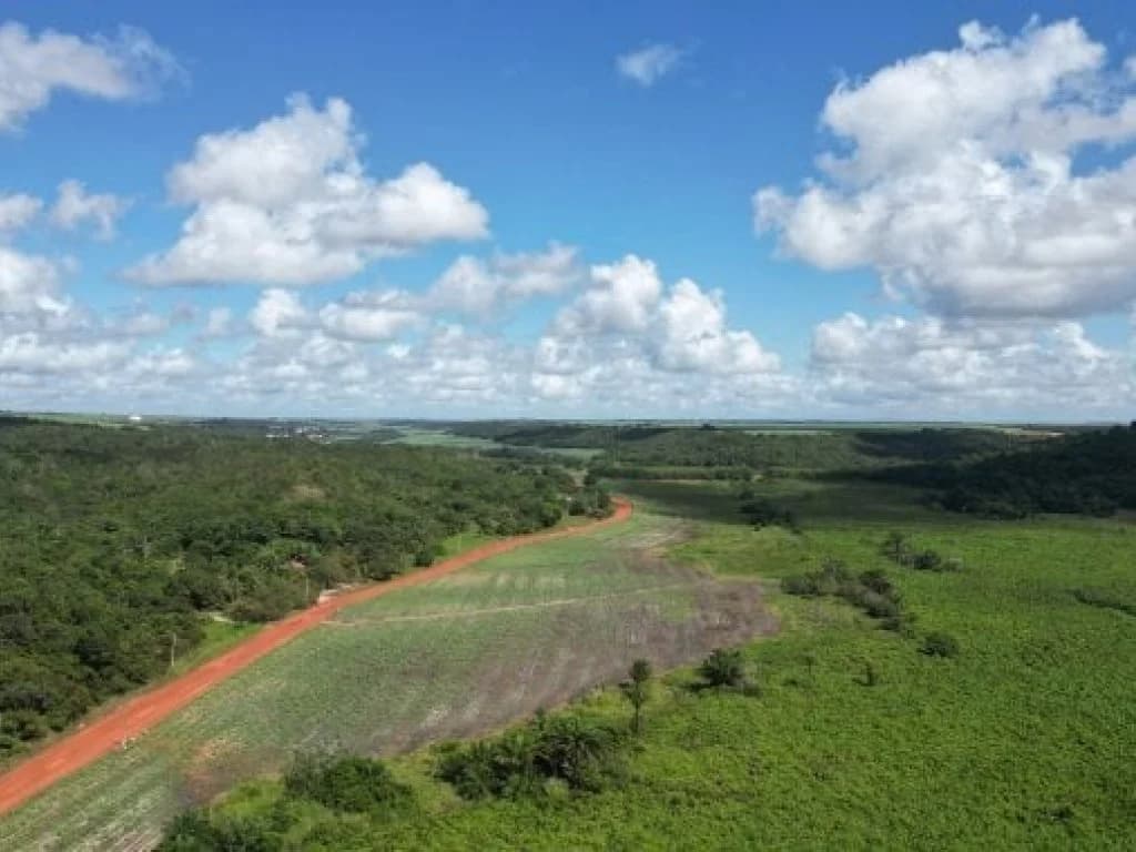 Foto 3 de 12: Area Rural em leilão em Capim - PB — Gleba de Terras com 1.795 ha - Capim - PB