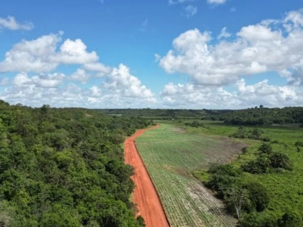 Foto 4 de 12: Area Rural em leilão em Capim - PB — Gleba de Terras com 1.795 ha - Capim - PB