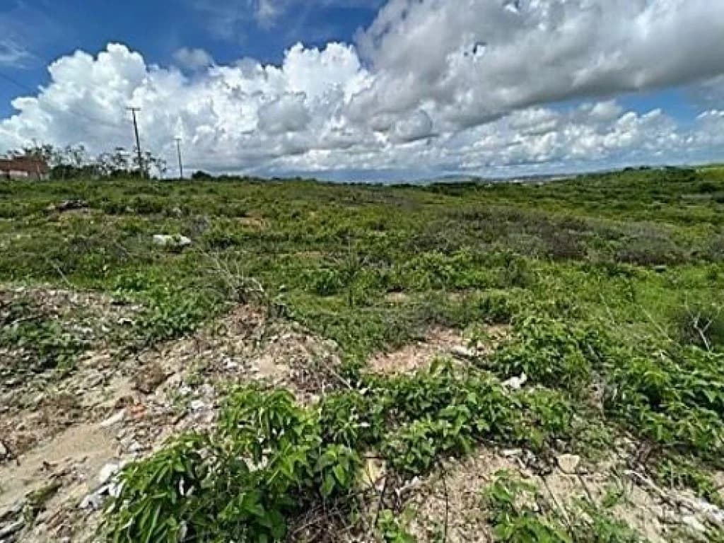 Foto 5 de 5: Terreno em leilão em Campina Grande - PB — Terreno 600 m² (Lt. 01 da Qd. F) - Itararé - Campina Grande - PB