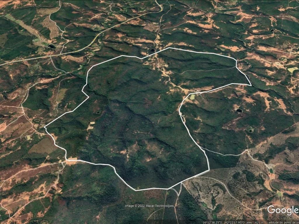 Foto 3 de 5: Area Rural em leilão em Fruta De Leite - MG — Imóvel Rural de 392 ha - Fruta de Leite - MG