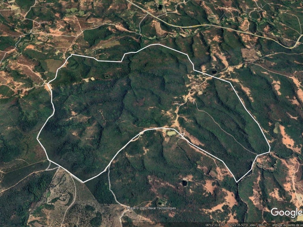 Foto 2 de 5: Area Rural em leilão em Fruta De Leite - MG — Imóvel Rural de 392 ha - Fruta de Leite - MG